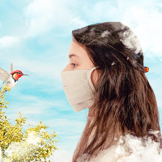 Masque catégorie 2 conçu en suivant le modèle AFNOR prix de  variant 4,80€  à 7,00€  selon la quantité - Marquise de Laborde 